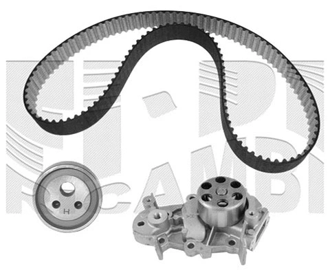 Water Pump & Timing Belt Kit (KATW1142C)