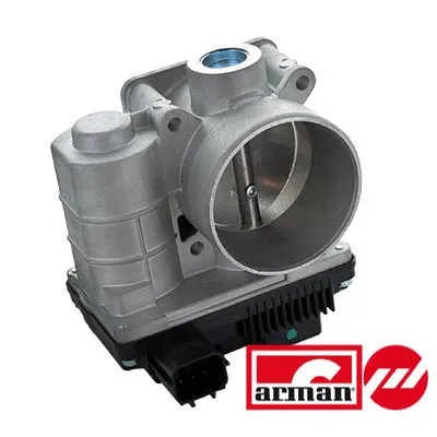 Throttle Body (L8595AS)