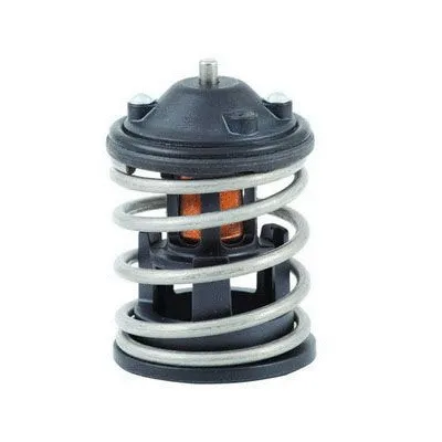 Thermostat, coolant (M4686)