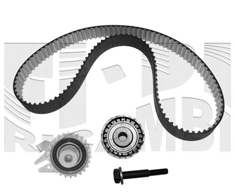 Timing Belt Kit (KAT1356)