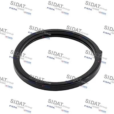 Seal, thermostat (M401698)
