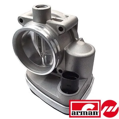 Throttle Body (L8146AS)