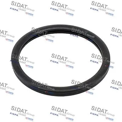 Seal, thermostat (M401656)