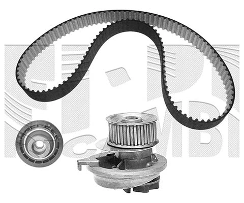 Water Pump & Timing Belt Kit (KATW1181)