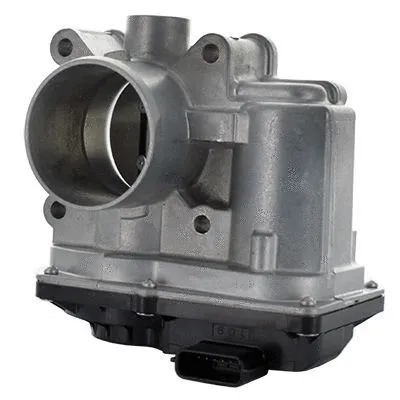 Throttle Body (L8259)