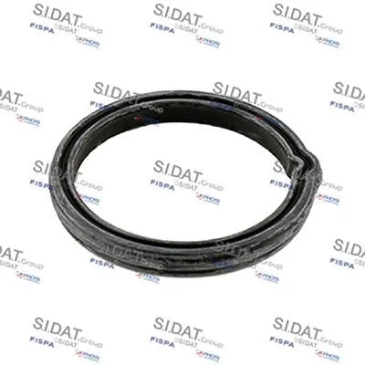 Seal, thermostat (M401664)