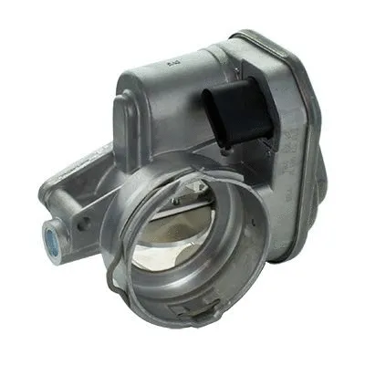 Throttle Body (L8031)