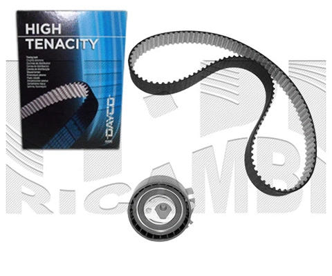 Timing Belt Kit (KAT1450)