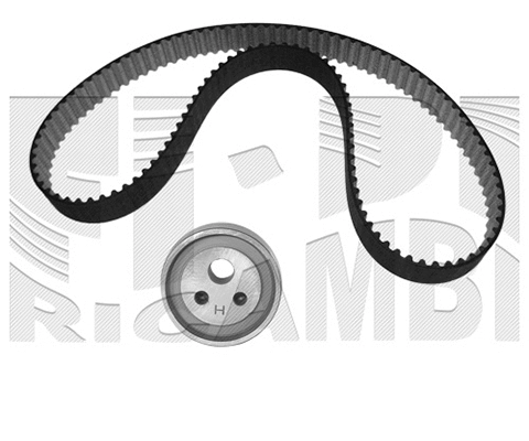 Timing Belt Kit (KAT1079)