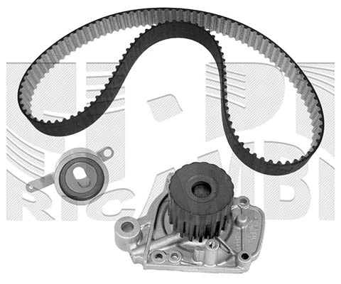 Water Pump & Timing Belt Kit (KATW1376)