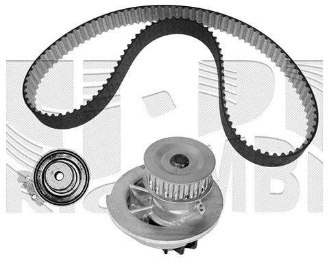 Water Pump & Timing Belt Kit (KATW1188)