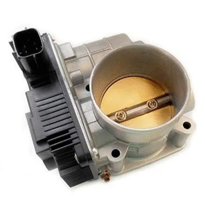 Throttle Body (L8229R)