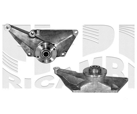 Belt Tensioner, V-ribbed belt (A01208)