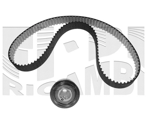 Timing Belt Kit (KAT1201)