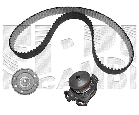 Water Pump & Timing Belt Kit (KATW1168)
