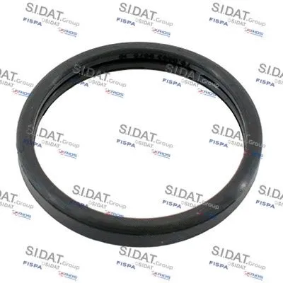 Seal, thermostat (M401675)