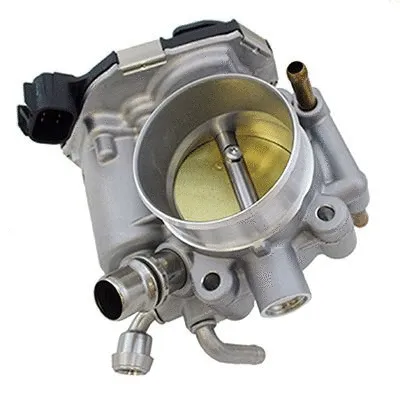 Throttle Body (L8435)
