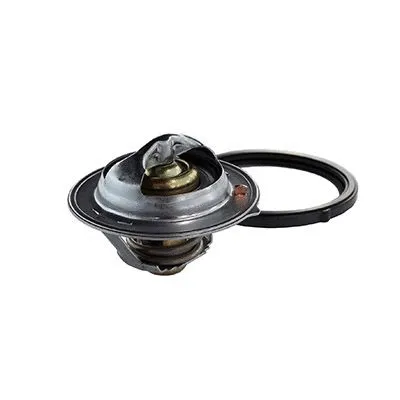 Thermostat, coolant (M4788)