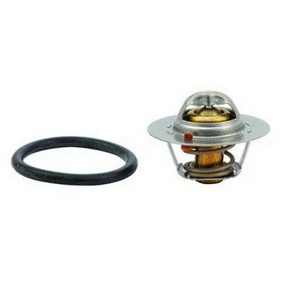 Thermostat, coolant (M4342)
