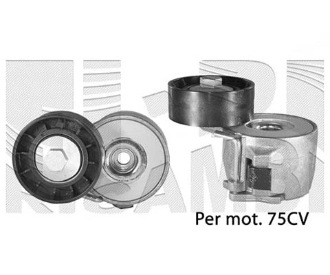 Tensioner Lever, V-ribbed belt (A04608)