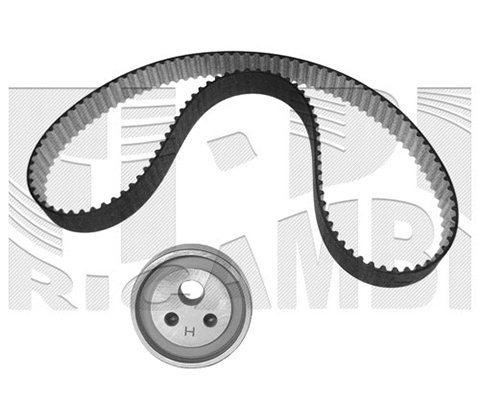 Timing Belt Kit (KAT1142)