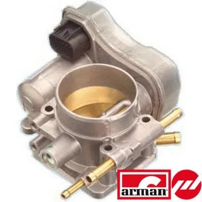 Throttle Body (L8033AS)
