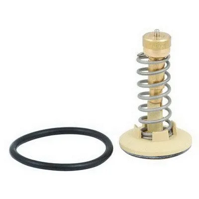 Thermostat, coolant (M4646)