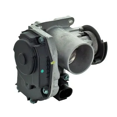 Throttle Body (L8021AS)