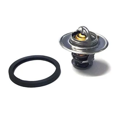 Thermostat, coolant (M4544)