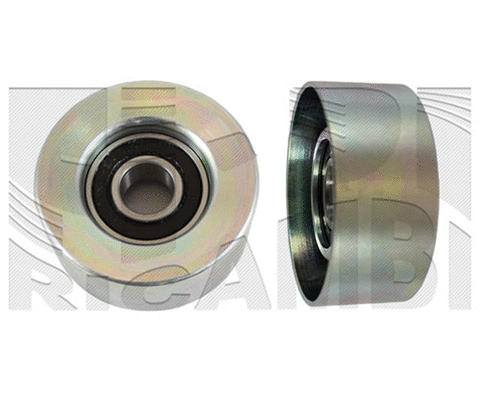 Belt Tensioner, V-ribbed belt (AA1090)