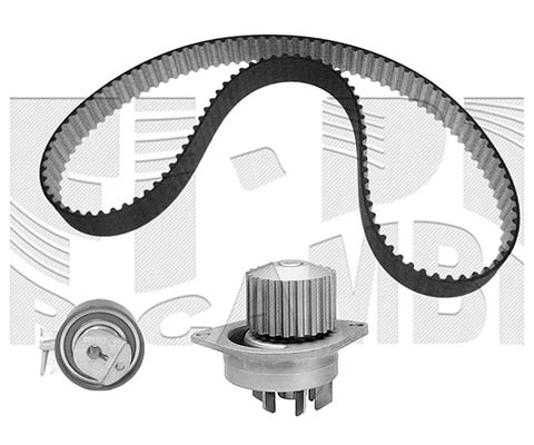 Water Pump & Timing Belt Kit (KATW1301B)