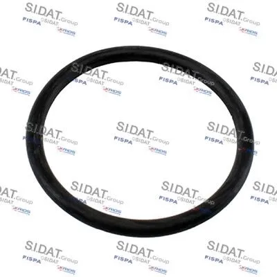 Seal, thermostat (M401681)
