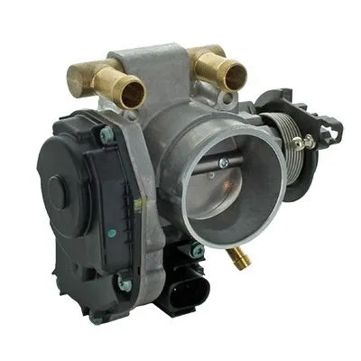 Throttle Body (L8176AS)