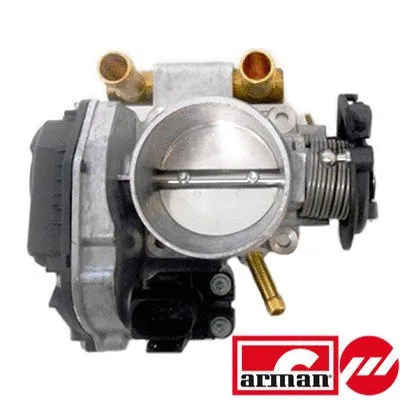 Throttle Body (L8296AS)