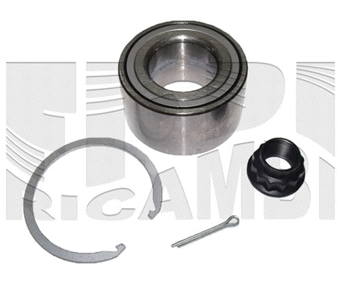 Wheel Bearing Kit (RA1876)