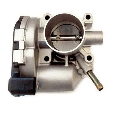 Throttle Body (L8236R)