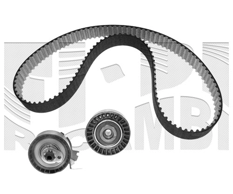 Timing Belt Kit (KAT1393)