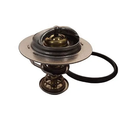 Thermostat, coolant (M4531)