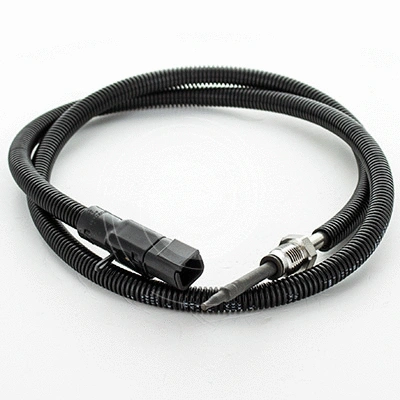 Sensor, exhaust gas temperature (L21359)