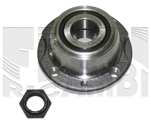 Wheel Bearing Kit (RA9079)