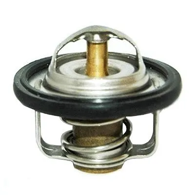 Thermostat, coolant (M4335)