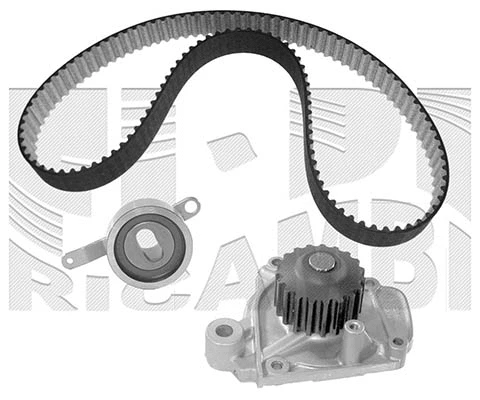 Water Pump & Timing Belt Kit (KATW1341)