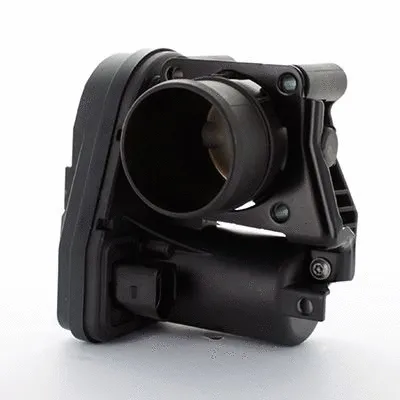 Throttle Body (L8108)