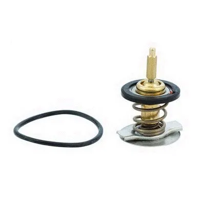 Thermostat, coolant (M4739)