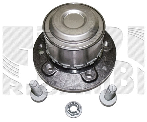 Wheel Bearing Kit (RA6805)
