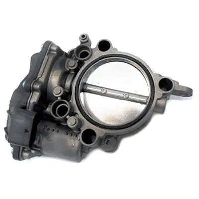 Throttle Body (L8263)