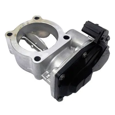 Throttle Body (L8220)