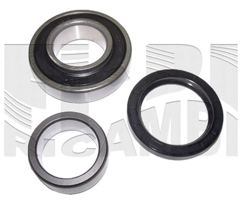 Wheel Bearing Kit (RA2344)