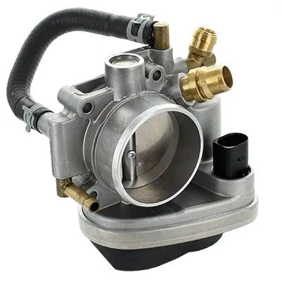 Throttle Body (L8301)