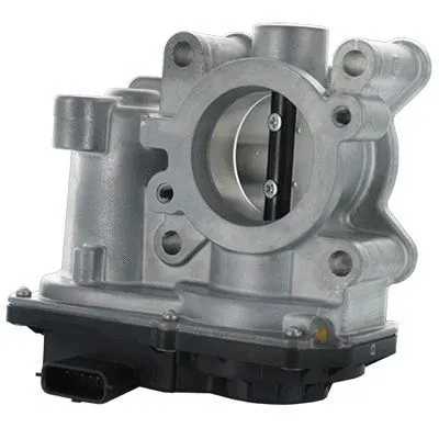 Throttle Body (L8260)